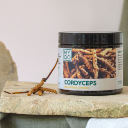 Cordyceps sinensis -...