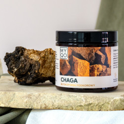 Chaga - Błyskoporek...